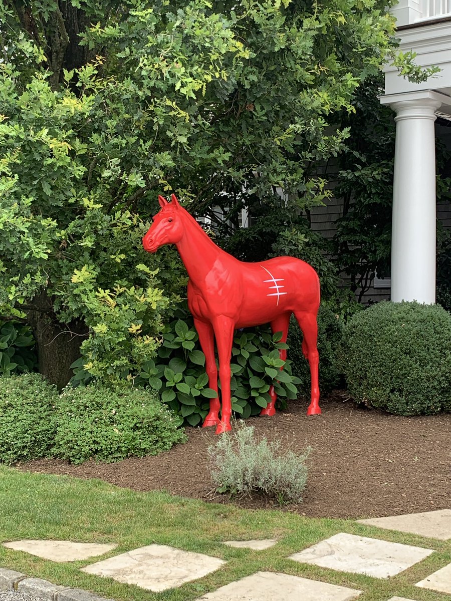 kasgraphics's tweet image. #haptonspolo#amazingtime