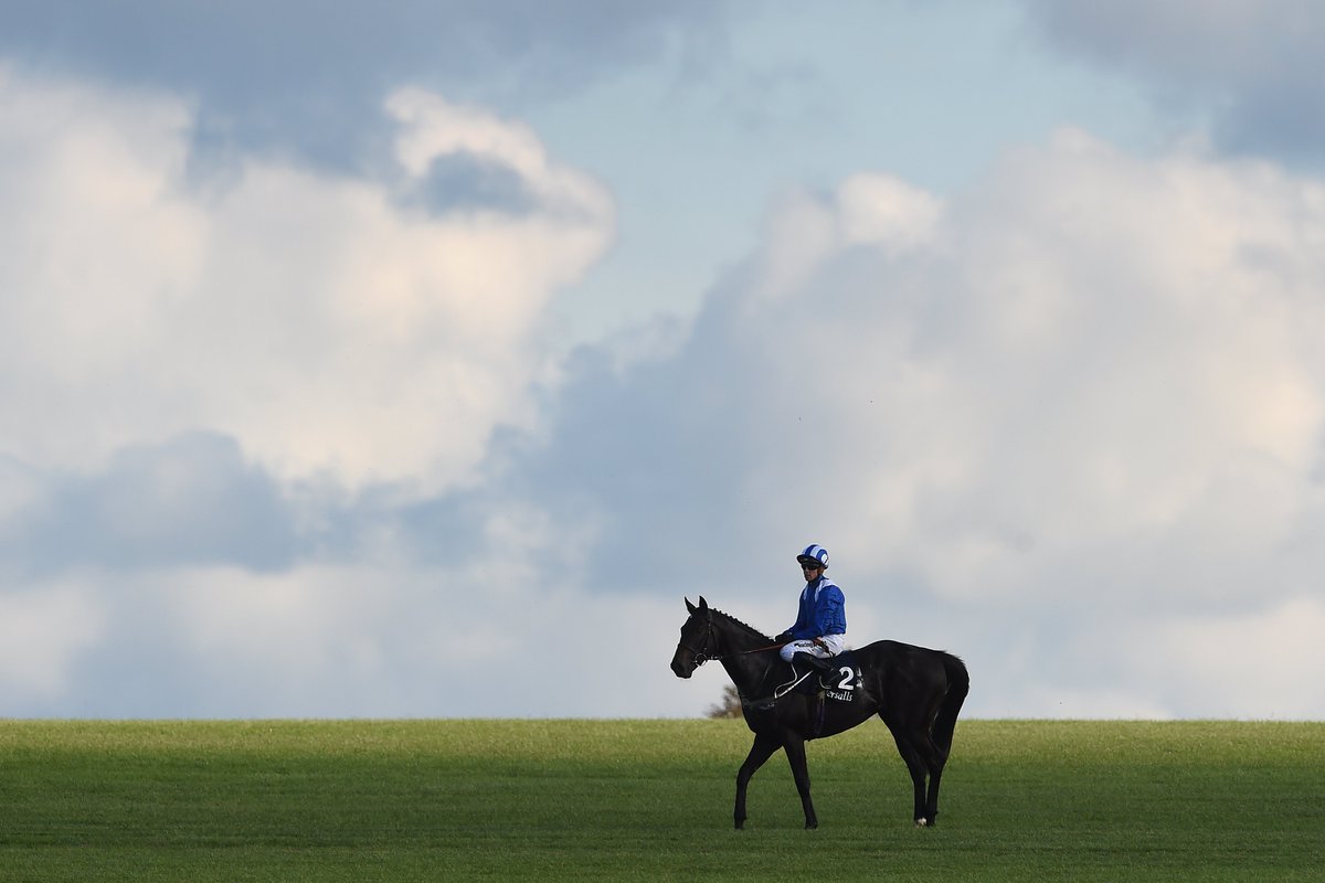 She has gone on to become a fine broodmare, with two of her progeny having posted wins at Newmarket. The most recent of those was Elarqam, trained like his dam by <a href="/Johnston_Racing/">Johnston Racing</a>, who won the Group 3 Tattersalls Stakes in 2017
