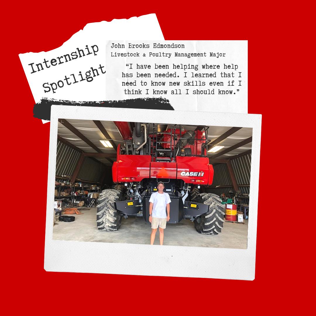 John Brooks Edmondson, a Livestock and Poultry Management major, has been interning this summer with Edmondson Farms. John has enjoyed learning the daily process of managing a flock of broiler chickens and gaining important time management skills.