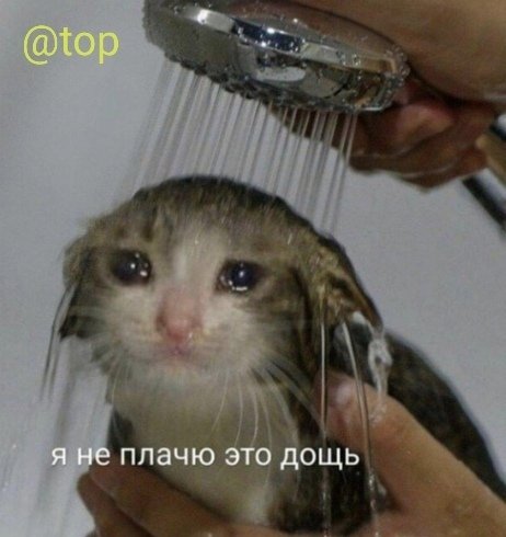 Dudosa02's tweet photo. Миша, это были замечательные 4 года, ты один из моих любимых кастеров, спасибо тебе огромное за твой позитив на стримах, удачи тебе в дальнейшем  <3 @lebed93_hs https://t.co/5HpefQQ4yw