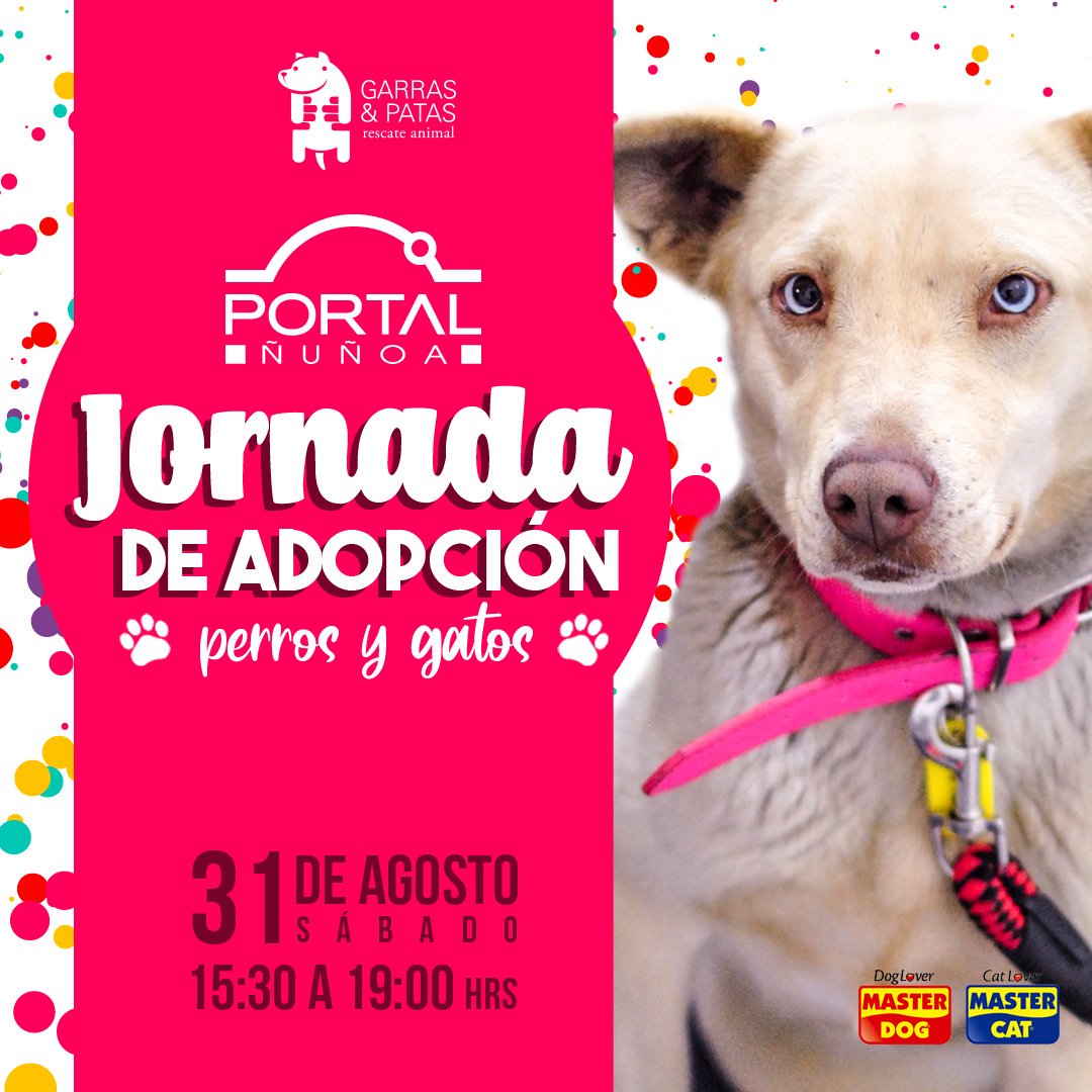Te esperamos este sábado 31 de agosto en Mall Portal Ñuñoa a partir de las 15:30hrs en el estacionamiento -3 en una nueva jornada de garras y patas 🐶❤️