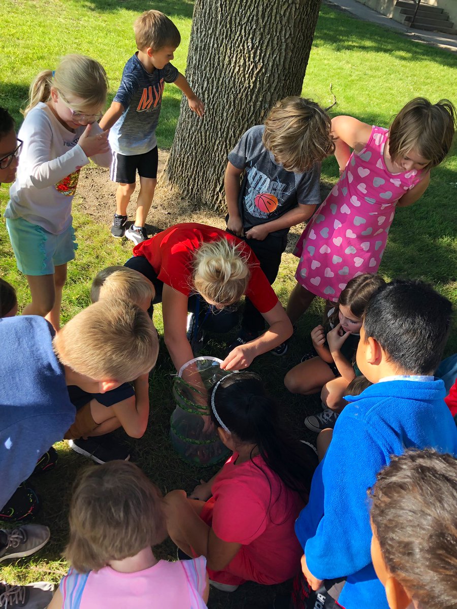 Found a Cicada yesterday. Why not work on the Four Square Writing Method with students with our topic being insects! #2ndGradeRocks