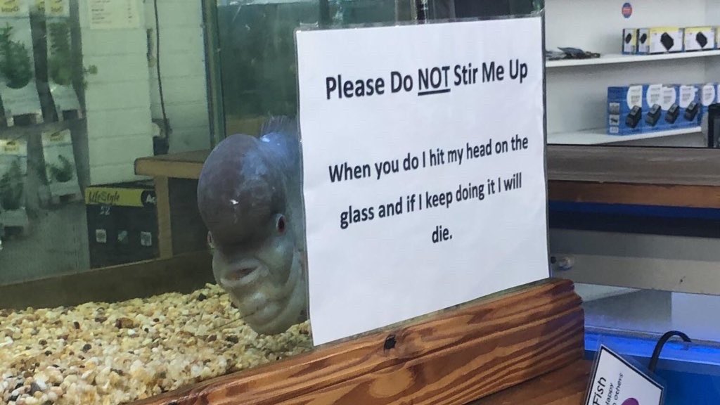 sadgirlkms's tweet photo. me to god https://t.co/GUXXuBFdLd