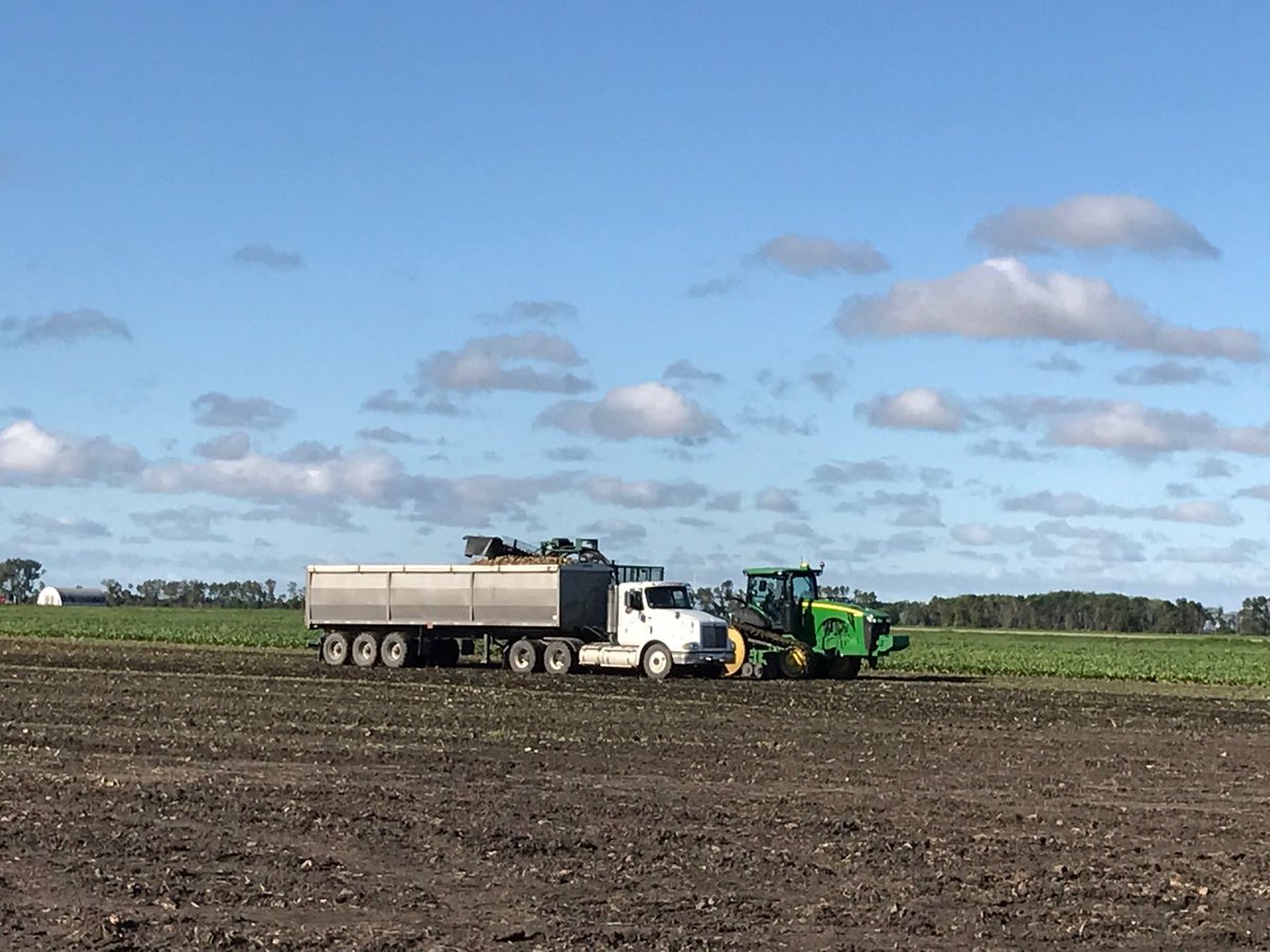 Kristie Jo Sundeen tweet media