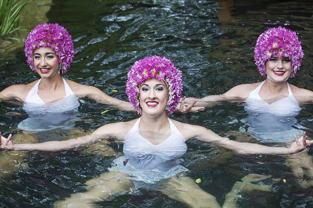 GoodestOfLads's tweet photo. The Seven as retro synchronized swimming caps, a thread: https://t.co/9FjT1rt3Bd