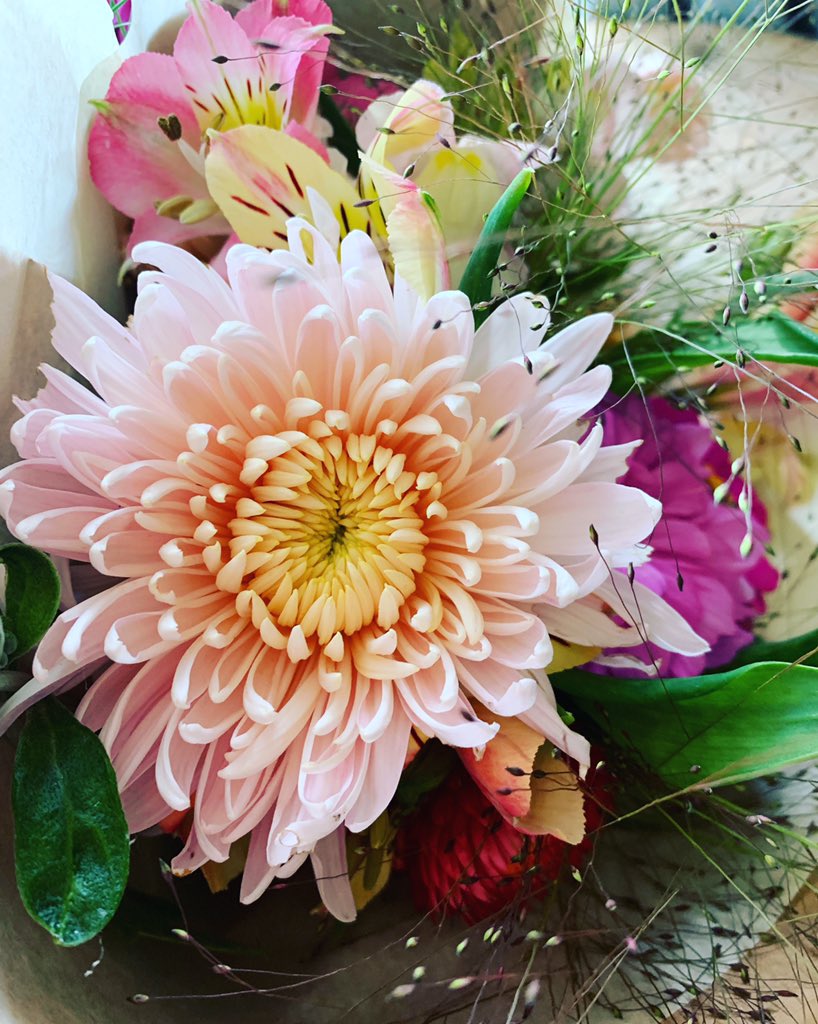 Forage and bloom tweet media