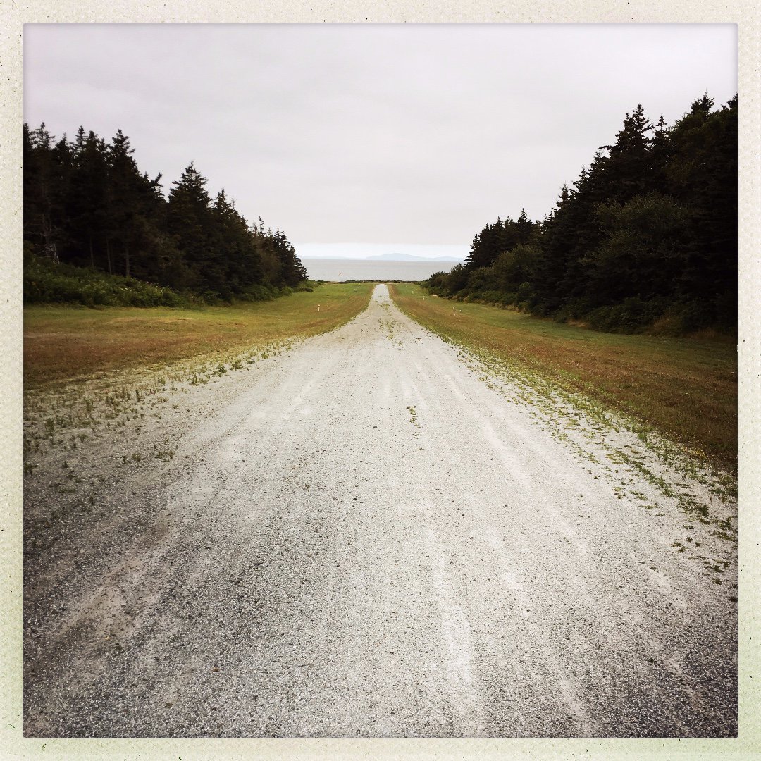 SessionAmerican's tweet image. NEW SINGLE FROM #NORTHEAST OUT NOW. "YOU GO YOUR WAY" FEAT. ROSE POLENZANI. bside "coming around again" feat. Ry Cavanaugh @rosepolenzani @krisdelmhorst @AliSingsSongs @DietrichStrause @amycorreia #CarlySimon ow.ly/M3dy50vNQvK ow.ly/ZMg550vNQvJ