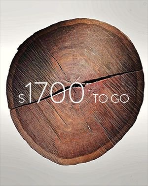 LightFieldArts's tweet photo. We have $1700 to go. That $1700 would cover costs for the flat screen TVs and media players we need to display our YPW film, our Hudson River School digital art, and our data and visualization piece about a hemlock tree that was born in 1579 in the HRV. Link in bio to donate. https://t.co/ECnqcmWSmW