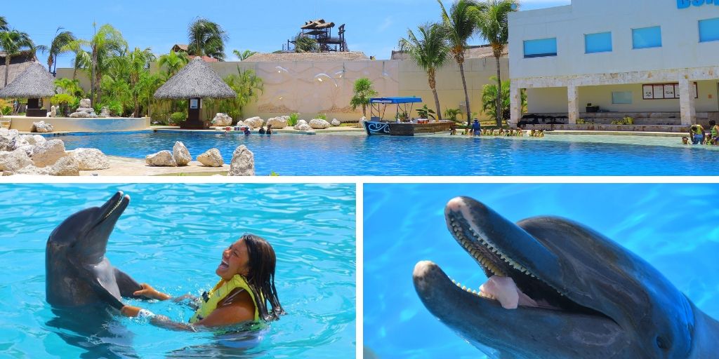 Get up special discount in the interaction with the dolphins by clicking the following link: bit.ly/2ZsyHAY 🐬💙