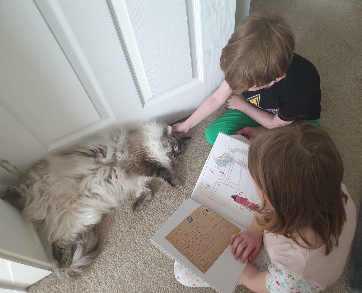 weejill1's tweet photo. Hagrid is enjoying 'The Day the Crayons Came Home' that much he has fallen asleep! #MNASummerReadingBingo @morley_newlands https://t.co/toqBZ4JSzm
