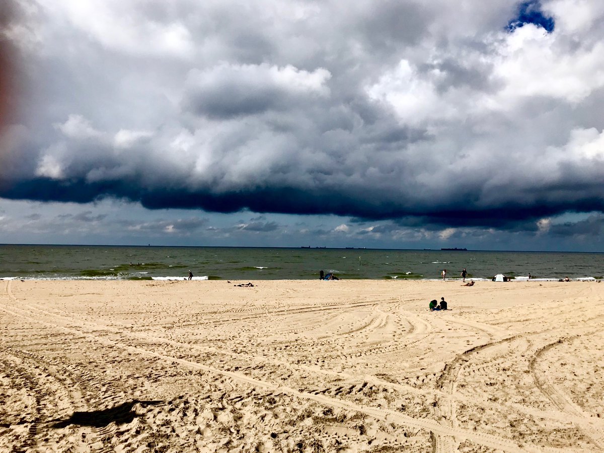 FredvanderKloor's tweet photo. Looking for shelter! #snapescape #nature https://t.co/iz5AzLtXAQ
