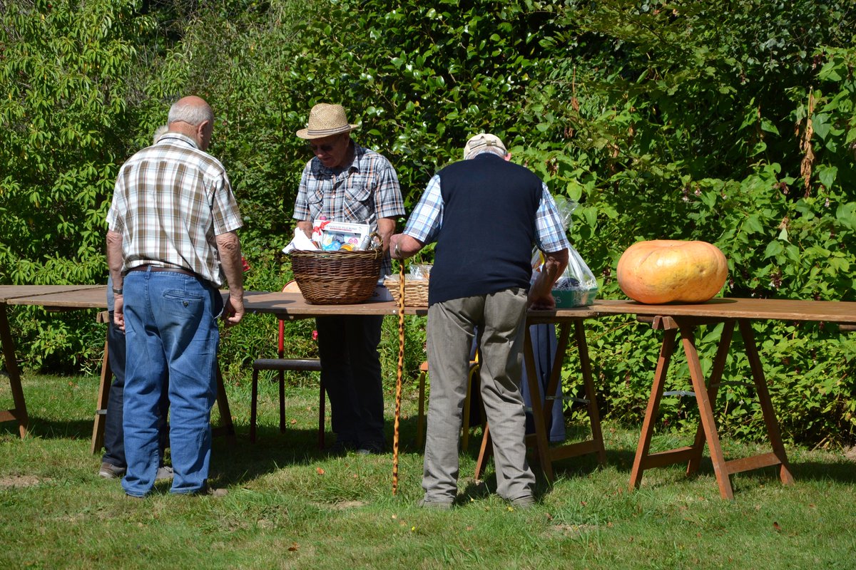 CPape_bzh's tweet photo. Sous un soleil généreux, journée de retrouvailles des #anciens @FDSEA_Finistere au #Nivot https://t.co/ZfmroaiQeA