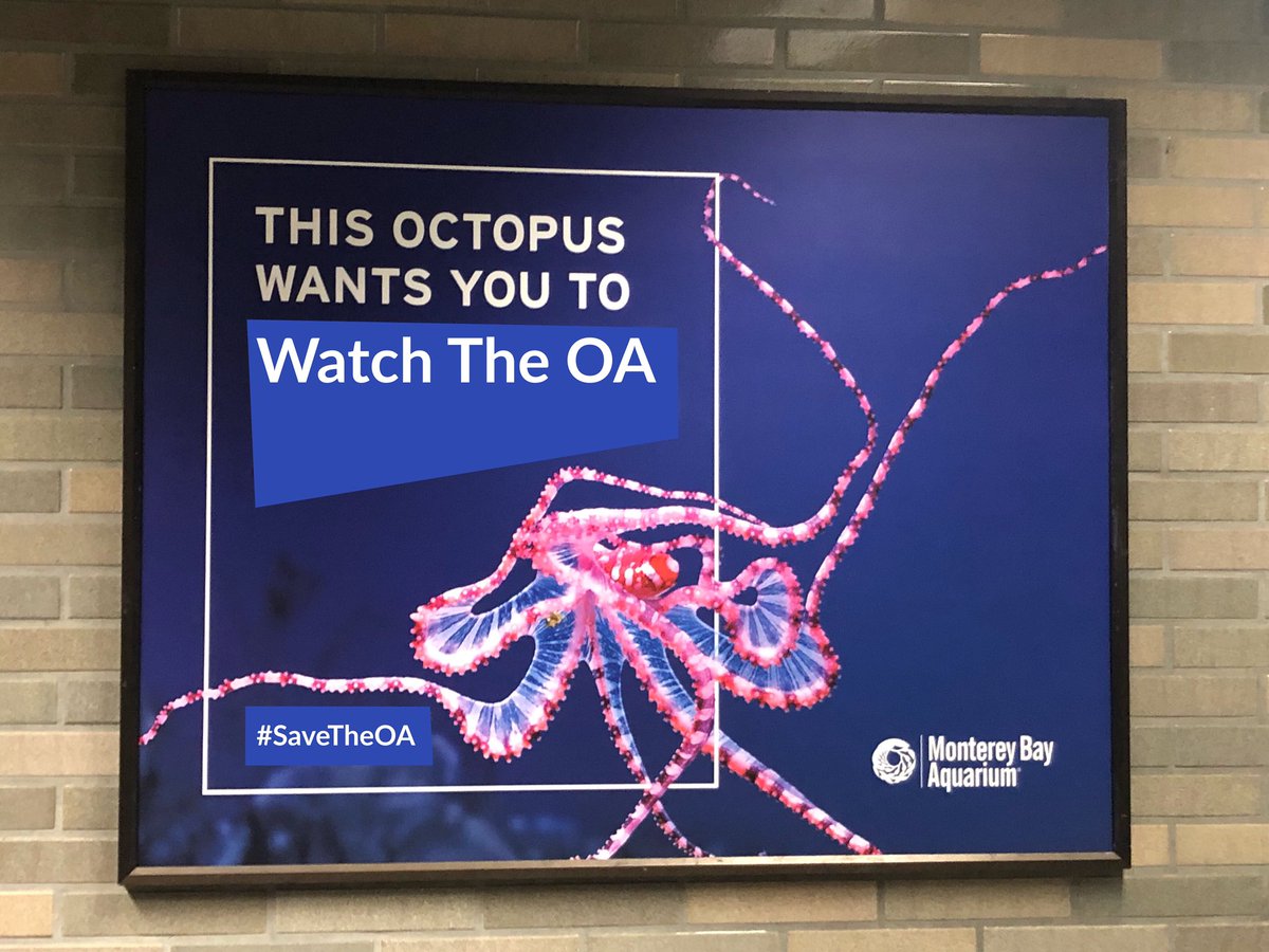YtheYandY's tweet photo. Looks like Monterey Bay Aquarium is promoting The OA. ❤️🐙❤️#SaveTheOA https://t.co/LMd9LI9XI6