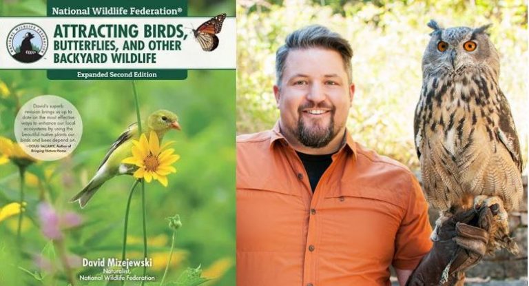 NCStateCNR's tweet photo. Award-winning author of Attracting Birds, Butterﬂies and Other Backyard Wildlife, @Dmizejewski, is speaking at @naturalsciences on 9/4 at 12 pm. Learn how to create a wildlife-friendly garden! @NorthCarolinaEE #LunchTimeDiscovery https://t.co/9uJgvHnuP4 https://t.co/LE51Hehqlp
