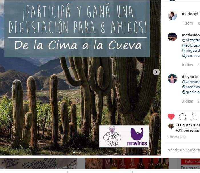 VinotecaMRWines's tweet photo. esta noche haremos la degustación para los ganadores del sorteo que realizamos en instagram entre quienes participaron de #DeLaCimaALaCueva / junto a Dolores Lavaque de @UvasPisa @ConsultoraStg tenemos bastante para descorchar // seguramente saldrá en vivo X inst.  #LaCuevaDeMusu https://t.co/h1fOLyQBGk
