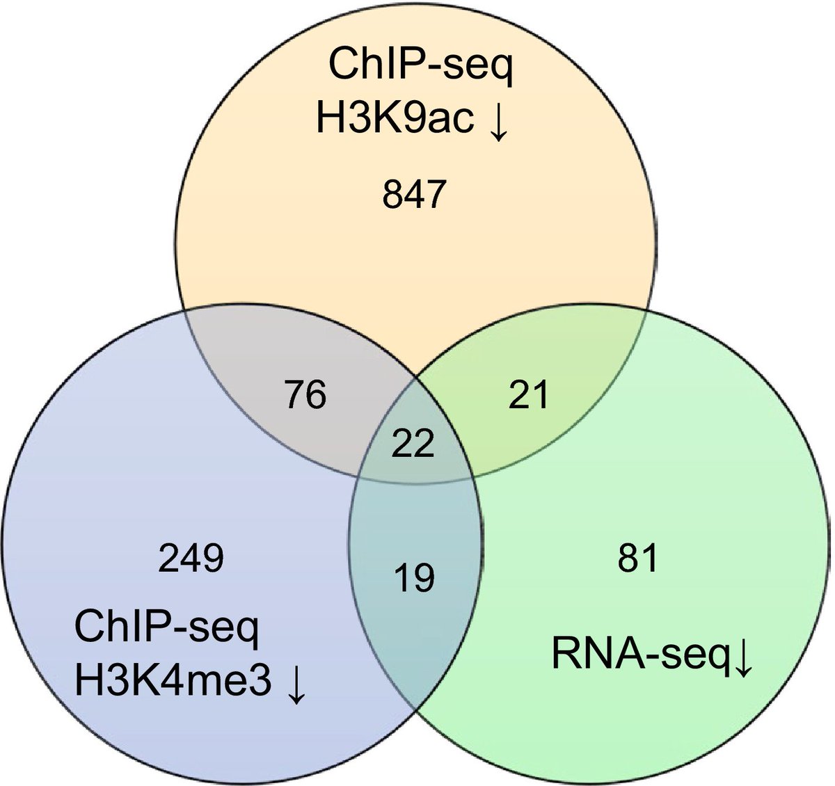 PlantDirectJ's tweet photo. The HAC1 histone acetyltransferase promotes leaf senescence and regulates the expression of ERF022 https://t.co/sgziVyHYzt @wileyplantsci #HAC1 #ERF022 #H3K9ac #leafsenescence #Mediatorcomplex #histoneacetylation https://t.co/RGaWVWgndH