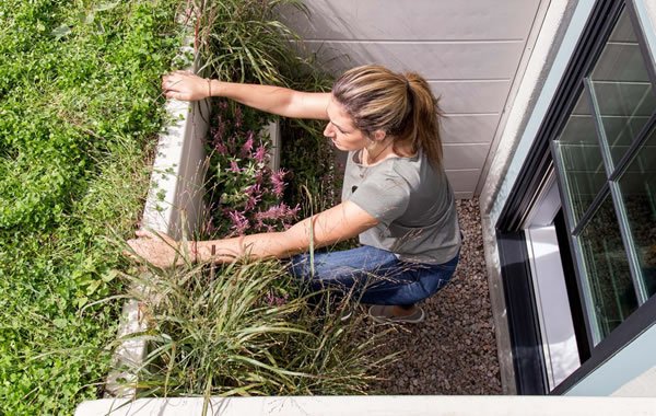 TheBilcoCompany's tweet image. The death of a 7-year-old Iowa boy in a February house fire illustrated again the dangers posed by basement fires. Read more on the importance of emergency egress in homes and making sure your #basement is #uptocode. bit.ly/2zqZZ0i