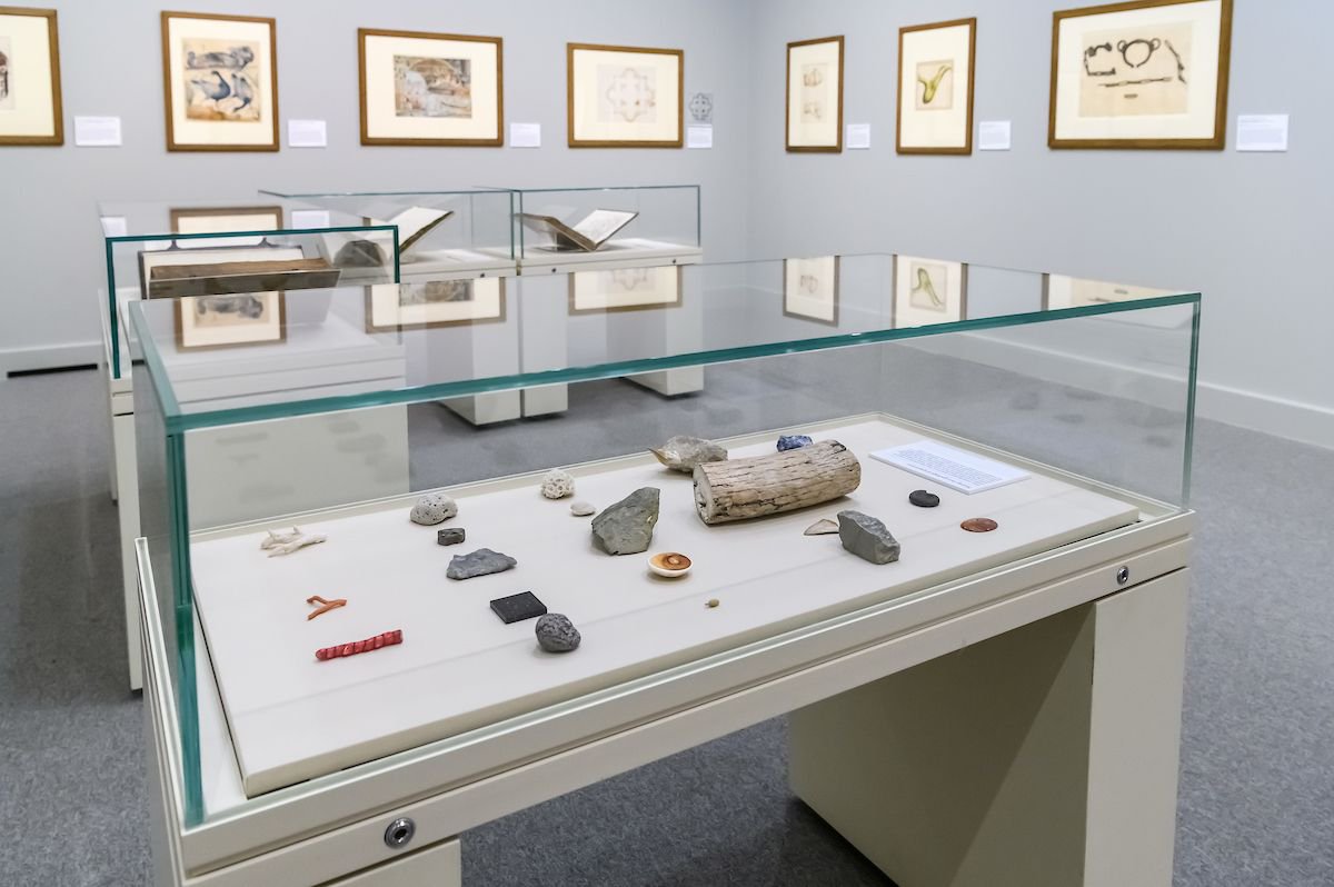 rbsagallery's tweet photo. From sloths and porcupines to mammoth tusks and Roman architecture, discover the #PaperMuseum @BarberInstitute before 1 Sept https://t.co/YvMr6R5gQj https://t.co/SaCqUhAW5F
