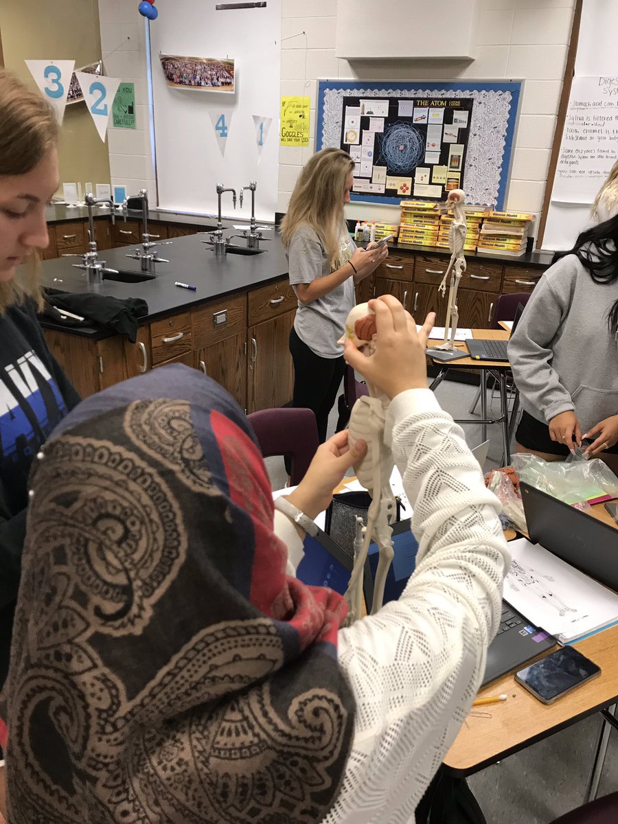 msgreenscience's tweet photo. The many faces of #humanbodysystems! @AcademiesofLou @atherton_high @PLTWorg https://t.co/ZN90NJvgpT