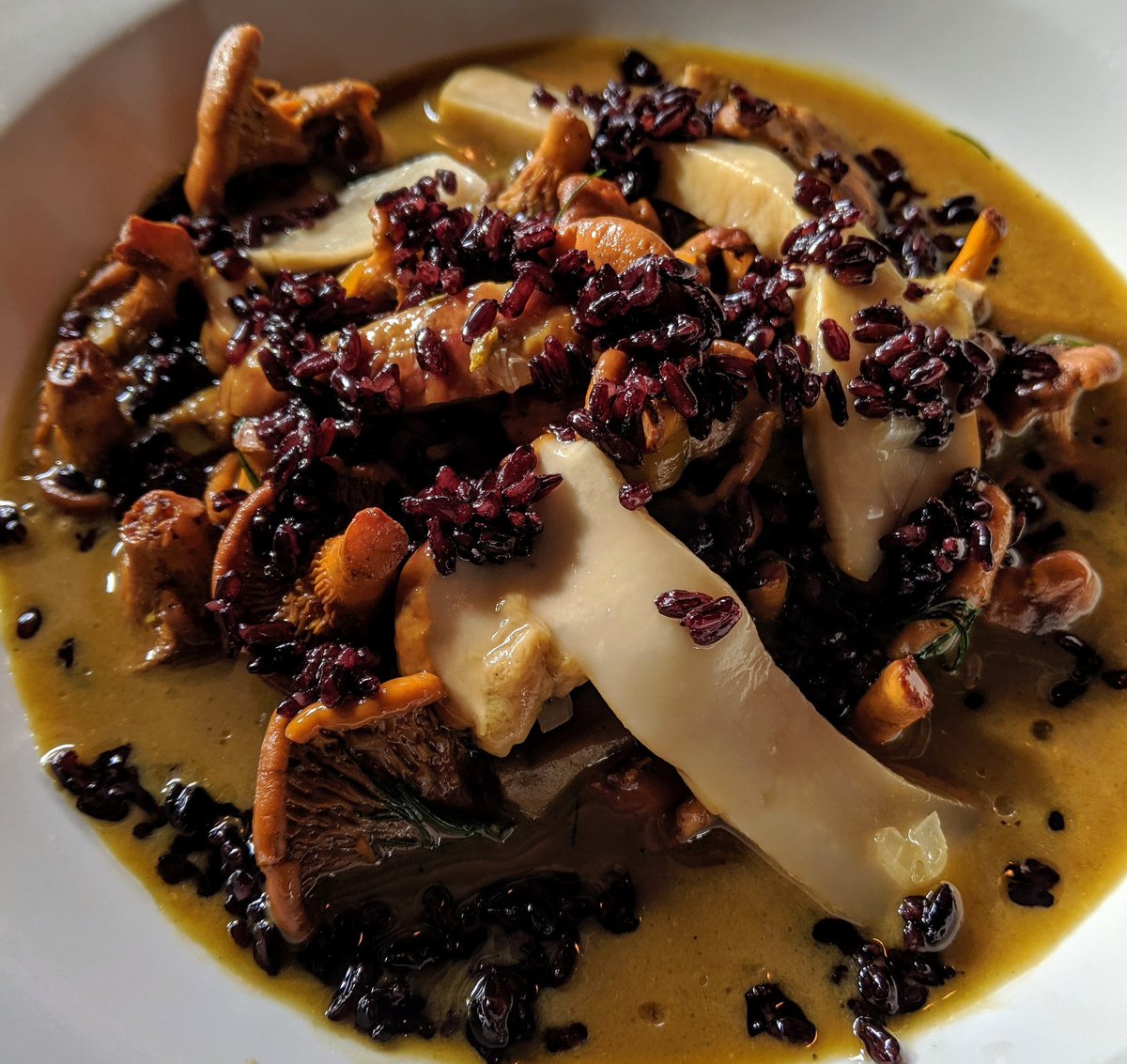 Hanksvic's tweet photo. Tis the season to be funghusy. Seared lobsters, poached chantrelles, and pickled porcinis in a saffron and cardamom broth with hard crisped Sicilian black rice
Lots of room tonight folks, we expect to see you all!
#mushrooms #notmagic #foragedfood #wildfood #yyj #victoriaeats https://t.co/9fcS3k5e2O