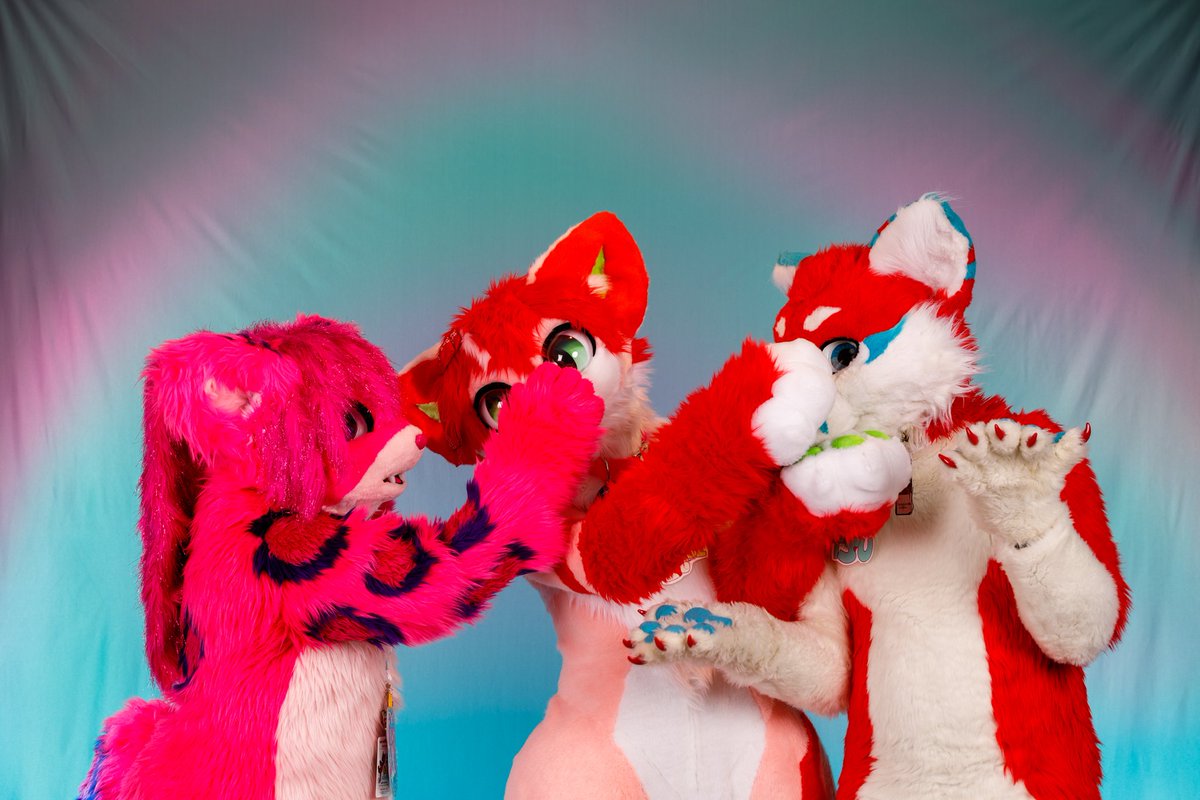 KittiKoinu's tweet photo. We stealing your noses be afraid 

#furry #fursuit #kemono #furryfandom #neko #fursuiter #kemonofursuit #furries #ANE2019 #anthronewengland #furriends https://t.co/7SOlcxc7Ky