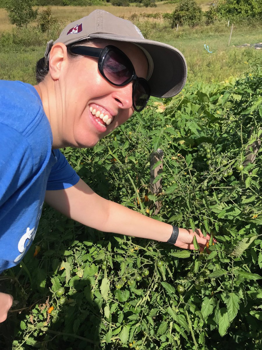 Justin Ng tweet media