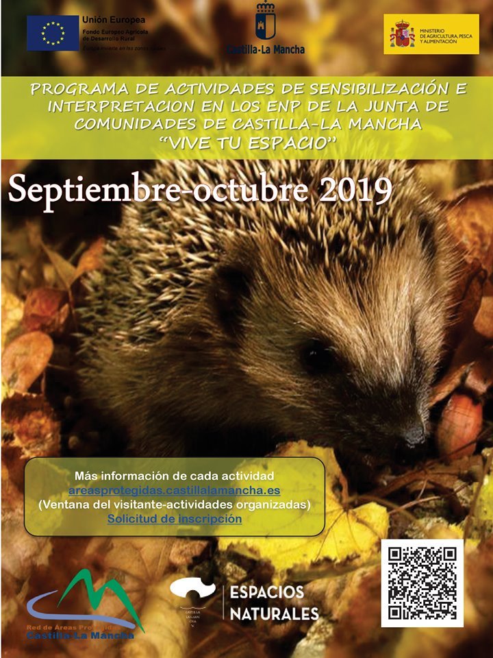 Los #espaciosnaturalesprotegidos de #CastillaLaMancha te esperan en septiembre con una amplia variedad de actividades en la #naturaleza 💚 Toda la info en: areasprotegidas.castillalamancha.es/rap/espacios-n…
#Enunlugardetuvida #Sivienesvuelves