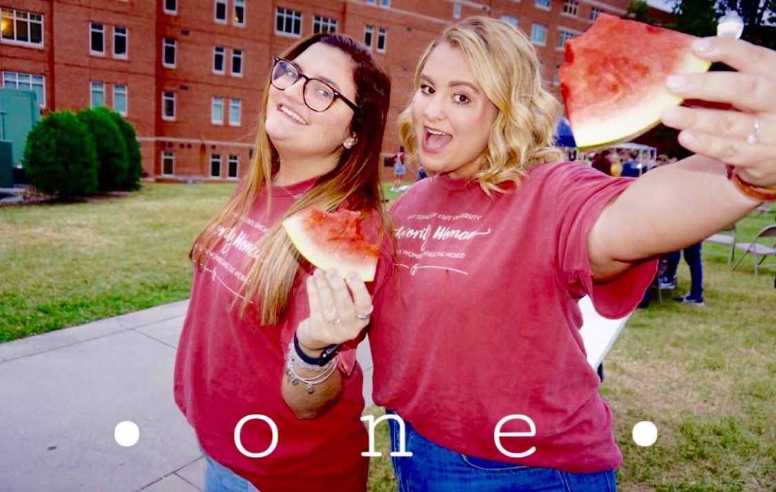 Alpha Omicron Pi ETSU tweet media