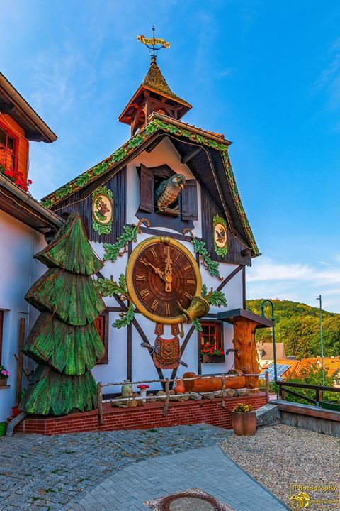michaharz's tweet photo. Ich glaube es schlägt zehn,
auf der Größte Kuckucksuhr Im Harz in Gernrode
Ich wünsche einen schönen und entspannten Abend.
Schöne Grüße

 https://t.co/ly9WhsCDP6

#gernrode #kuckucksuhr #weltrekord #uhr #quedlinburg #rekord #kuckuck #leidenschaft #fotografieren #herz #heimat #… https://t.co/QAljrRSo8c