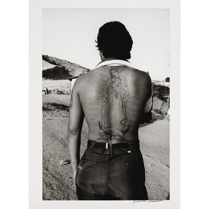 Harvard Art Museums tweet media