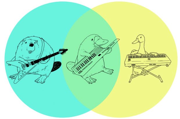 NoIslandBand's tweet photo. This will never not be the best. #venn #guitar #keys #keytar #beaver #duck #platypus #fusion https://t.co/KmCWQNL3YL