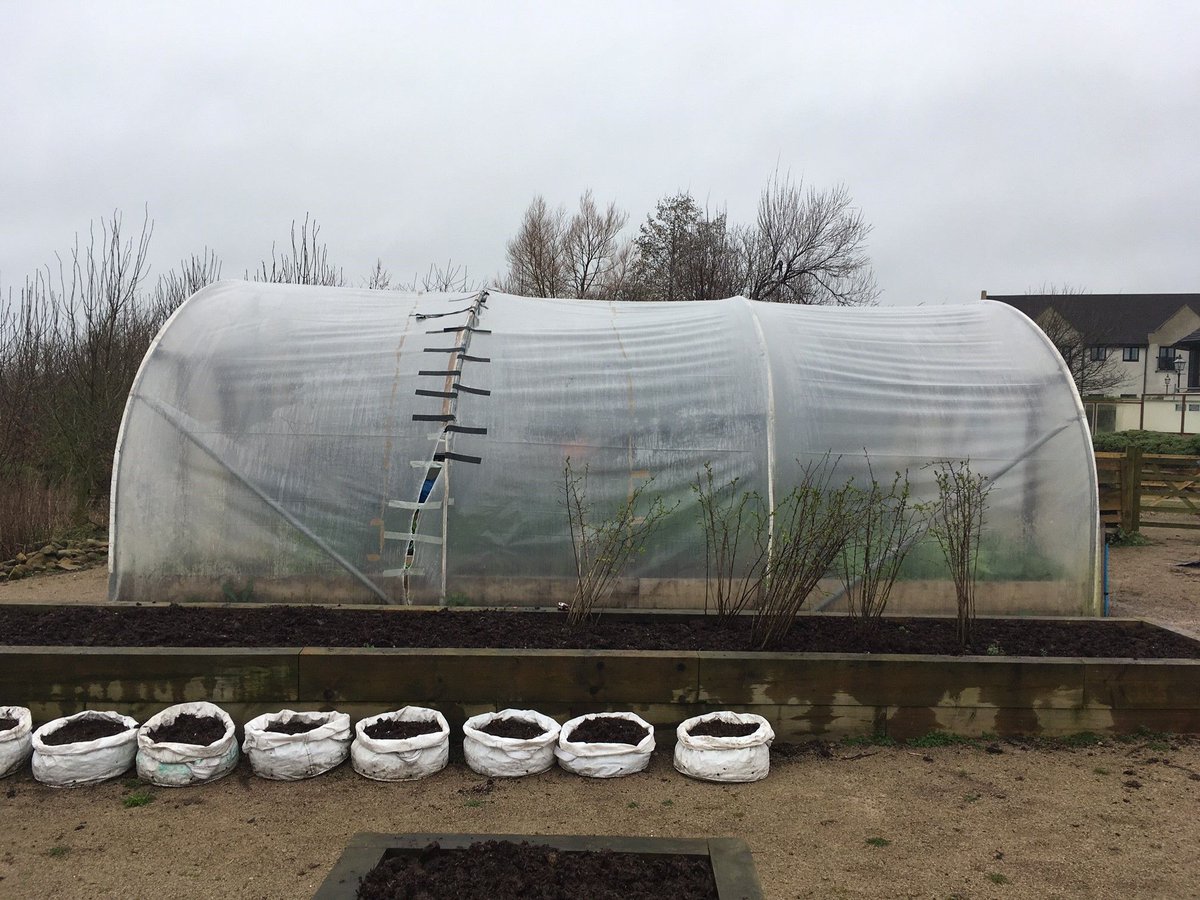 NatPolytunnels's tweet photo. Need to refurbish your Polytunnels? Strong winds and adverse weather sets back polytunnel #resheeting. Book in with our polytunnel installers on 01772 722 900 to be ready for the new growing season.
#Polytunnel #horticulture https://t.co/BHuJg9vwNd
