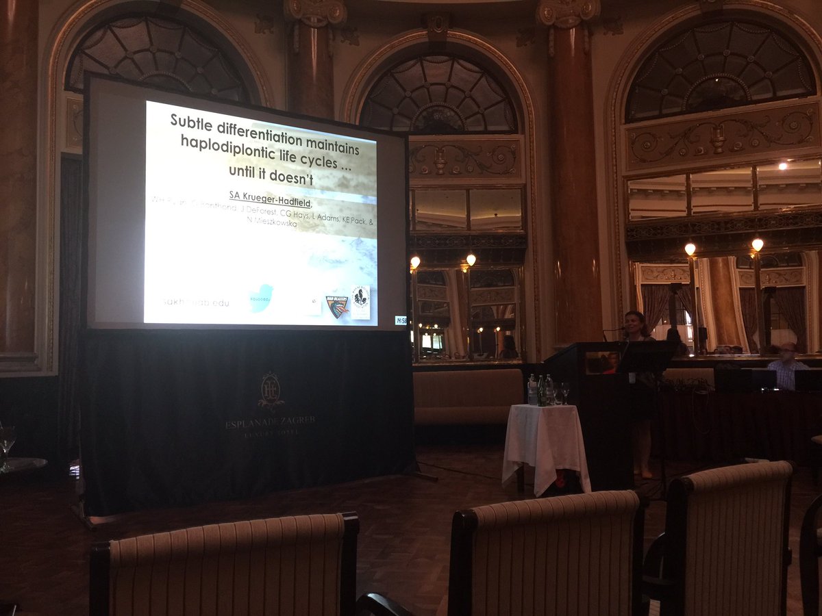 Sabrina Heiser tweet media