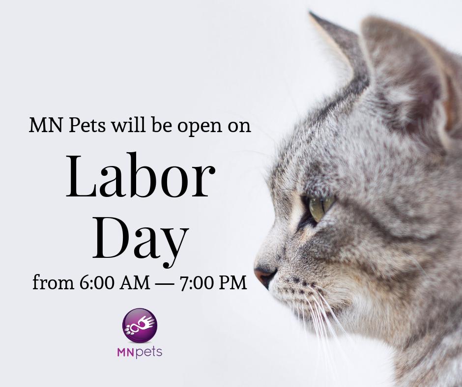 MNpets's tweet image. As always, we understand that when our pets need help, they don't care if it's a holiday.

We will be here on Labor Day from 6:00 AM—7:00 PM ready to help.