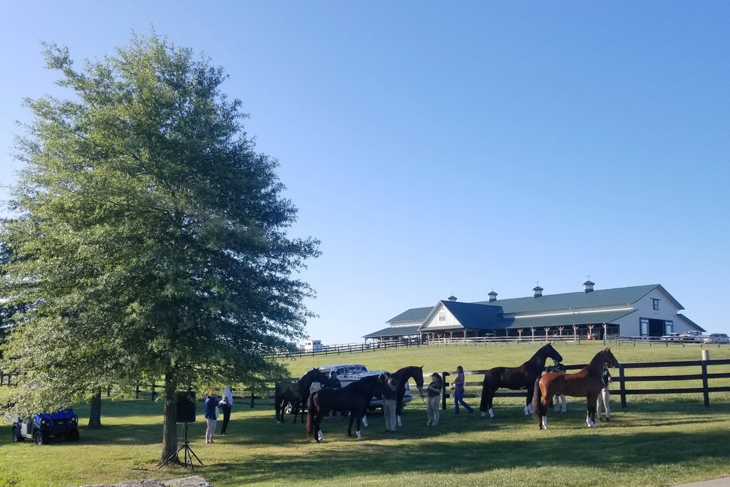 MKeener10's tweet photo. Just another day at the office. Collecting Data today-Sunday on the combined carriage drivers at the Kentucky Classic CDE! 

@uksmri @ukchs #uksmri #ukjei #ukchs #combineddriving https://t.co/DcV5mlt4dU