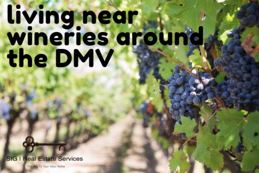 SIG_Real_Estate's tweet photo. Want to know what it's like living near a winery? Check out this month's blogpost on our website! #whySIG #realestate #wineryrealestate https://t.co/Kw3sob940y https://t.co/Qw27LSvI4r