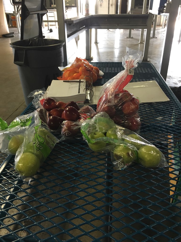 day_lions's tweet photo. #LionsRoar #SafetyFirst #HydrationIsLife #UPSService #GangGangHydrationLife #DaySortShenanigans Heathly snacks for the sort. Lets get the day started right. @kramerg5515 @Rayna25033145 @Jennife71065442 https://t.co/8UNsdfg7c9