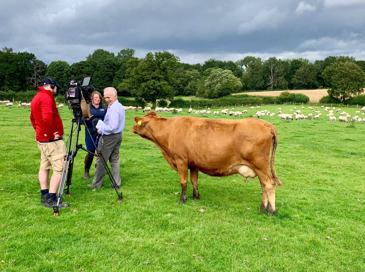 Sarah_McArthur's tweet photo. When Kimberley the #cow decides to join the @bbcmtd interview on @LoveLambWeek with @GTFarmGirl and I #sustainablefarming #lovelamb #bbcfarmingfocus https://t.co/m89tpfNArC