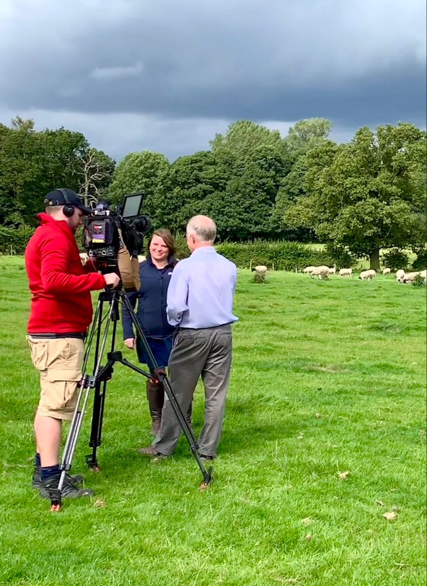Sarah_McArthur's tweet photo. When Kimberley the #cow decides to join the @bbcmtd interview on @LoveLambWeek with @GTFarmGirl and I #sustainablefarming #lovelamb #bbcfarmingfocus https://t.co/m89tpfNArC