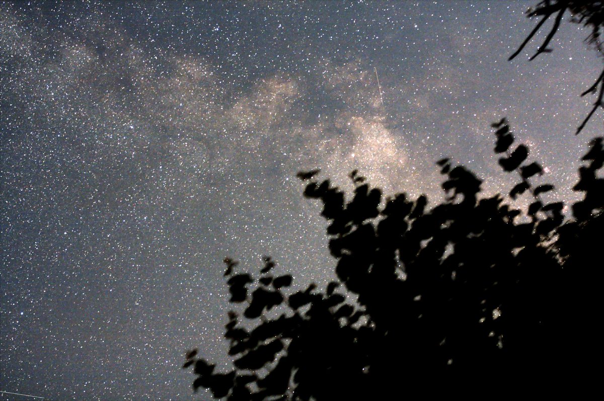 KeefBram's tweet photo. A few images from #Wigtown #galloway. Unfortunately forgot both my dew heater & charger #seniormoment so i was limited to 10s subs & until my lens dewed up.Taken with a canon #450D & #Samyang 35mm at F2. Each frame about 2mins total exposure. #thephotohour #Astrophotography https://t.co/0LnXcdBLlm