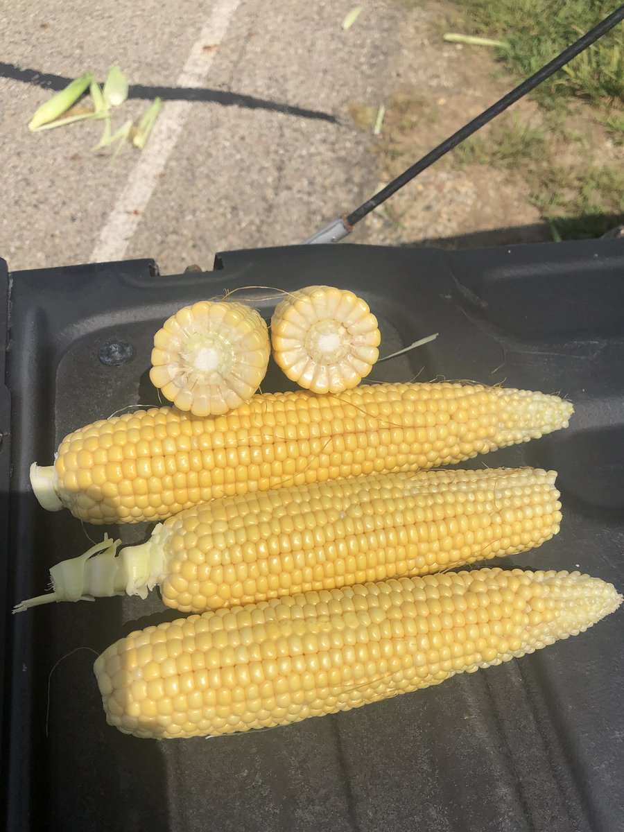 #Michlig19 East of Princeton - 209 bpa - June 5