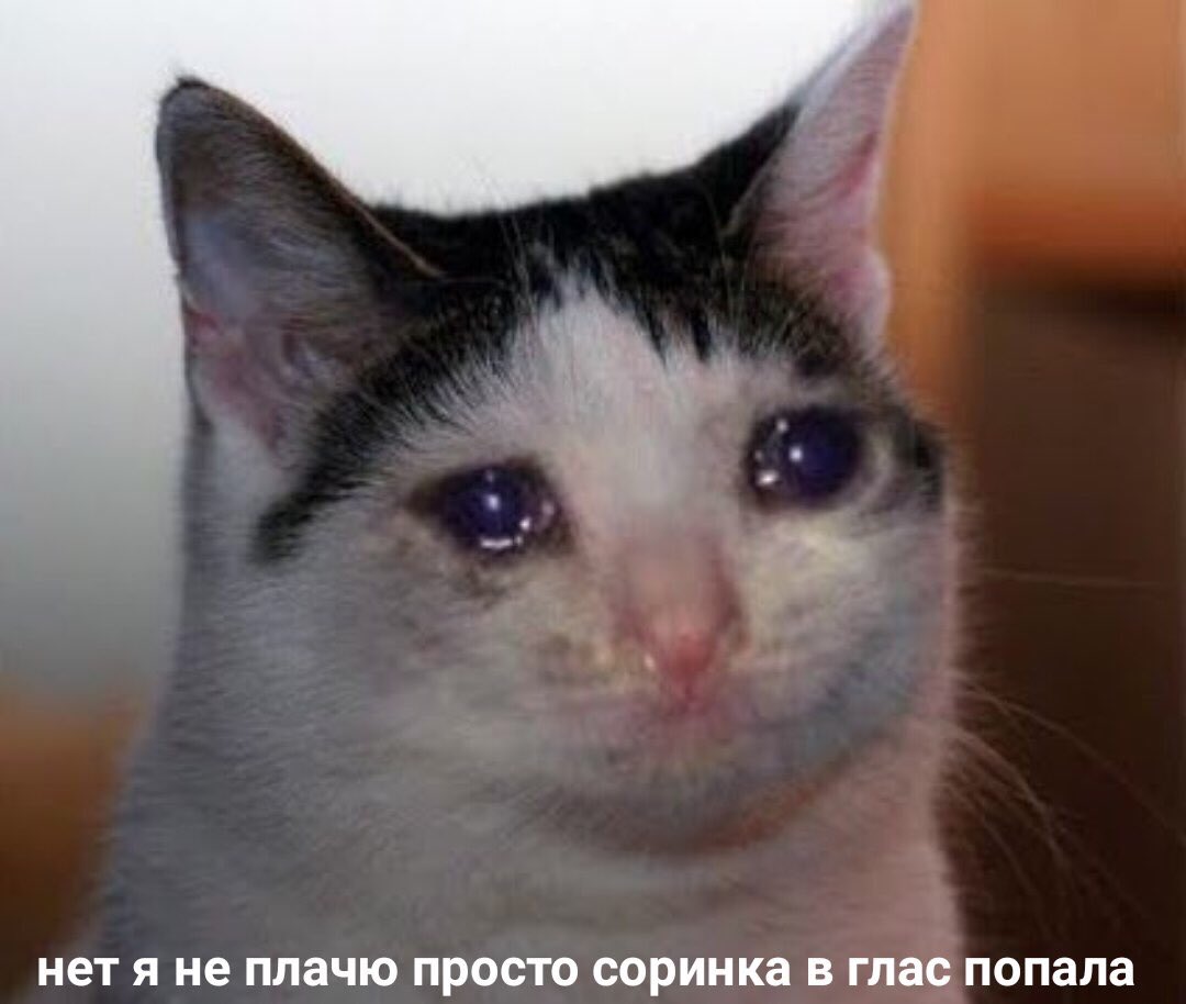 le_ili's tweet photo. Когда ты обиделась ни из-за чего, а он вместо извинений пошёл пиво пить https://t.co/fNhRNOgFPK