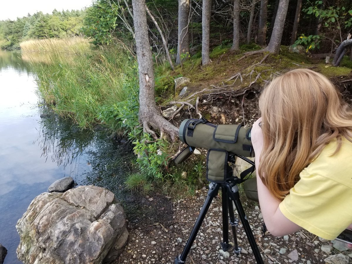 birdtherock's tweet photo. What's a fella to do with a few days break from birding tours?? Go birding, of course! My daughter Emma & I snuck off to check out some interesting reports at a local lake.
#BirdTheRock #ExploreNL #NatureRocks #LoveStJohns #BirdsNL #FlocksOfNL #KowaOptics #KowaSystems https://t.co/3ruBnunnS5