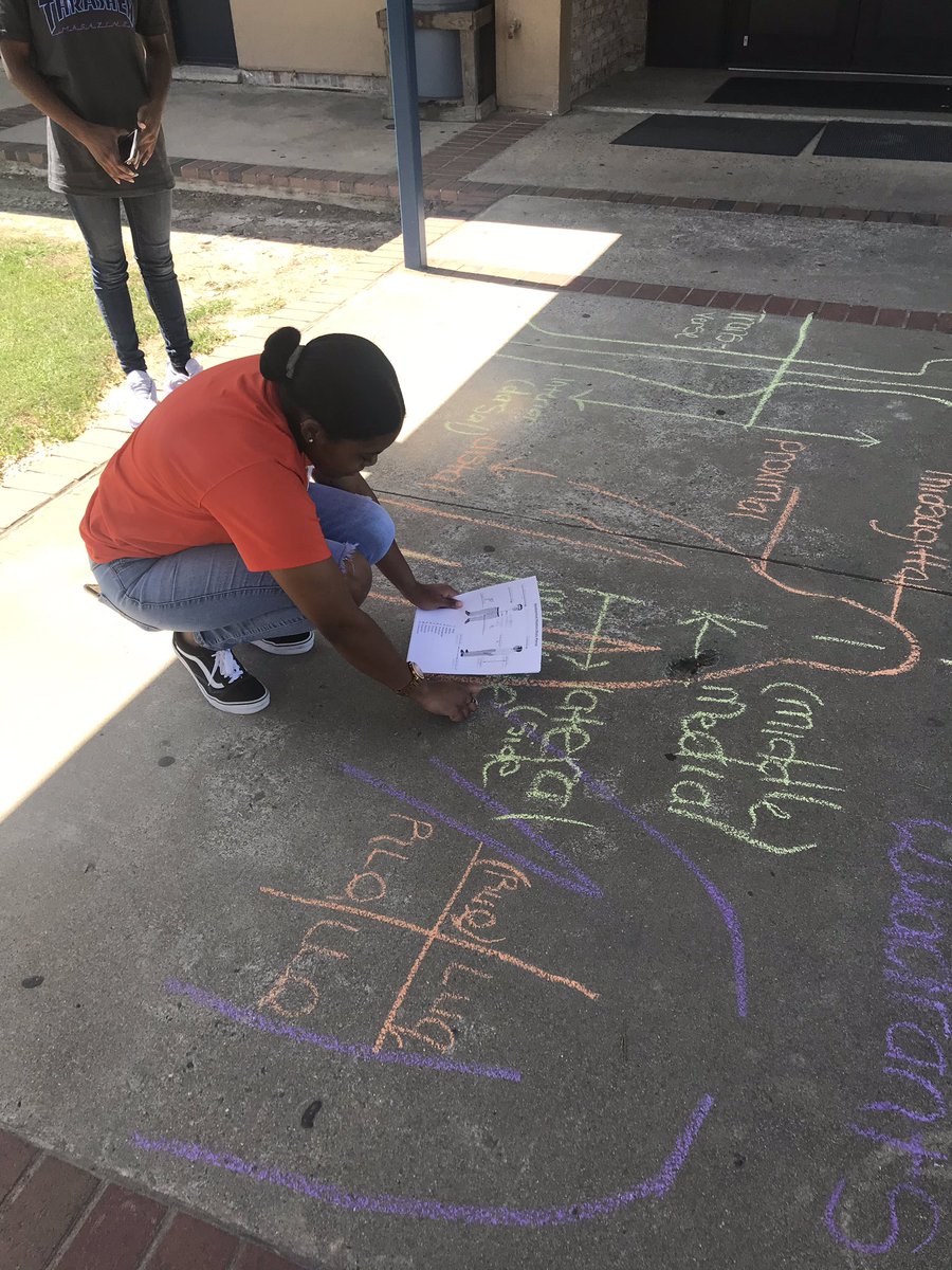 Warrior Health Sciences students show off their knowledge of human anatomy...Day 4