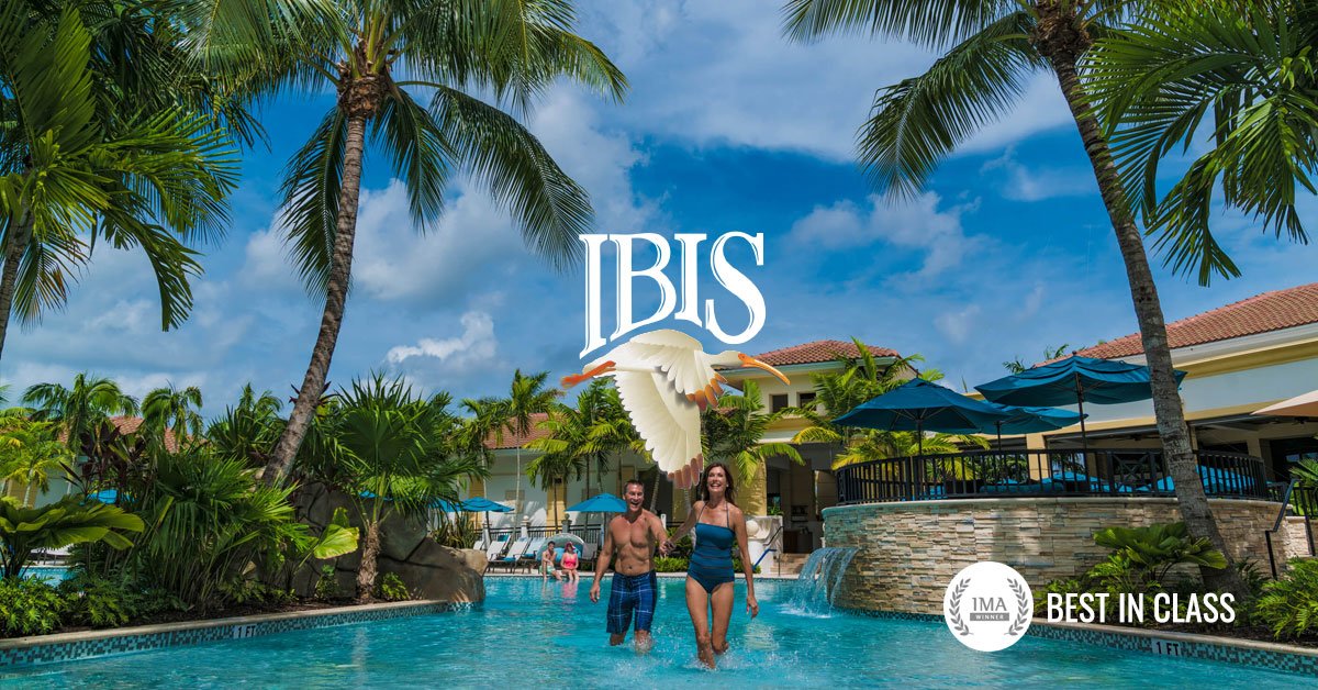 MembersFirst's tweet photo. Congratulations to @clubatibis for winning a Best in Class 2019 IMA Award! Explore The Club at Ibis’s award-winning website in the MembersFirst portfolio.
https://t.co/OkDfREOXeV
#MembersFirstIMA2019 #privateclub #countryclub #webdesign #digital #agency #designinspiration #ui https://t.co/05qBE0ZfTg