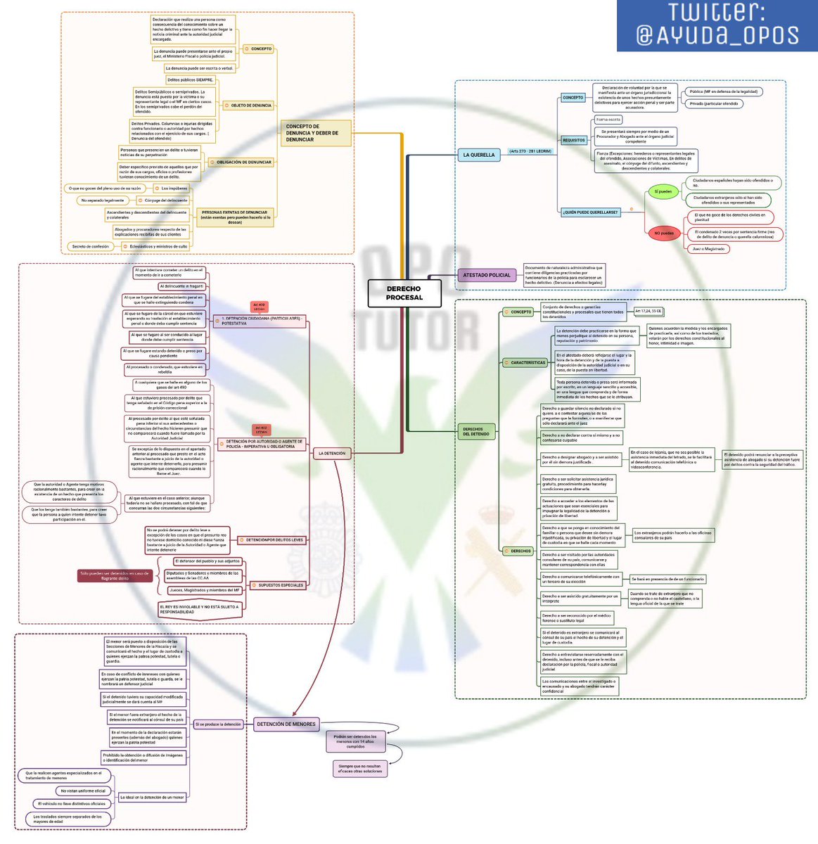 OPO TUTOR tweet media
