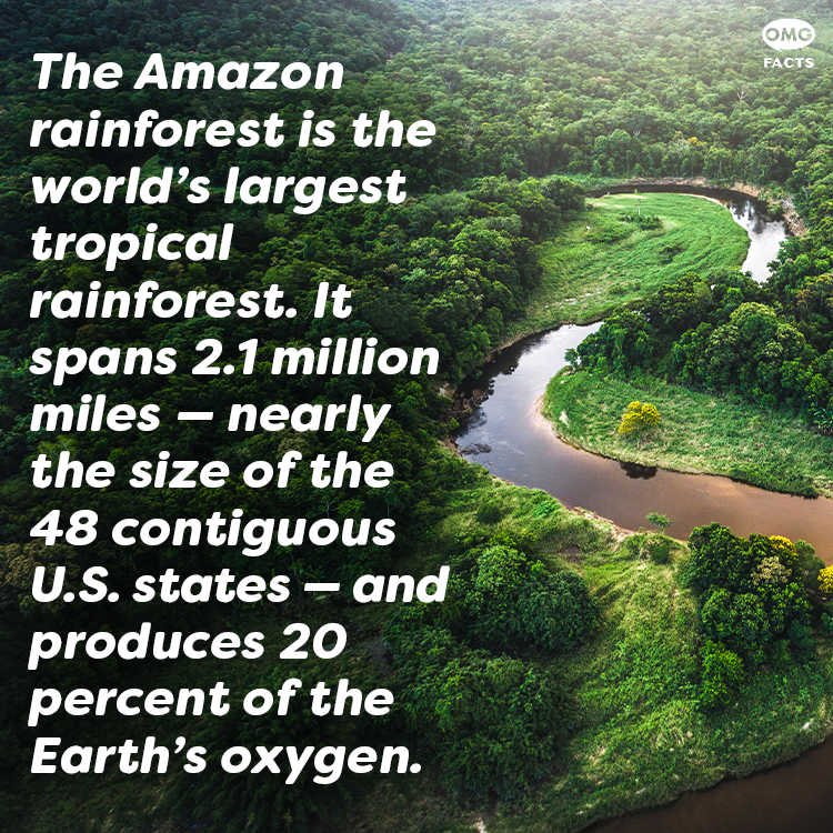 OMGFacts tweet picture