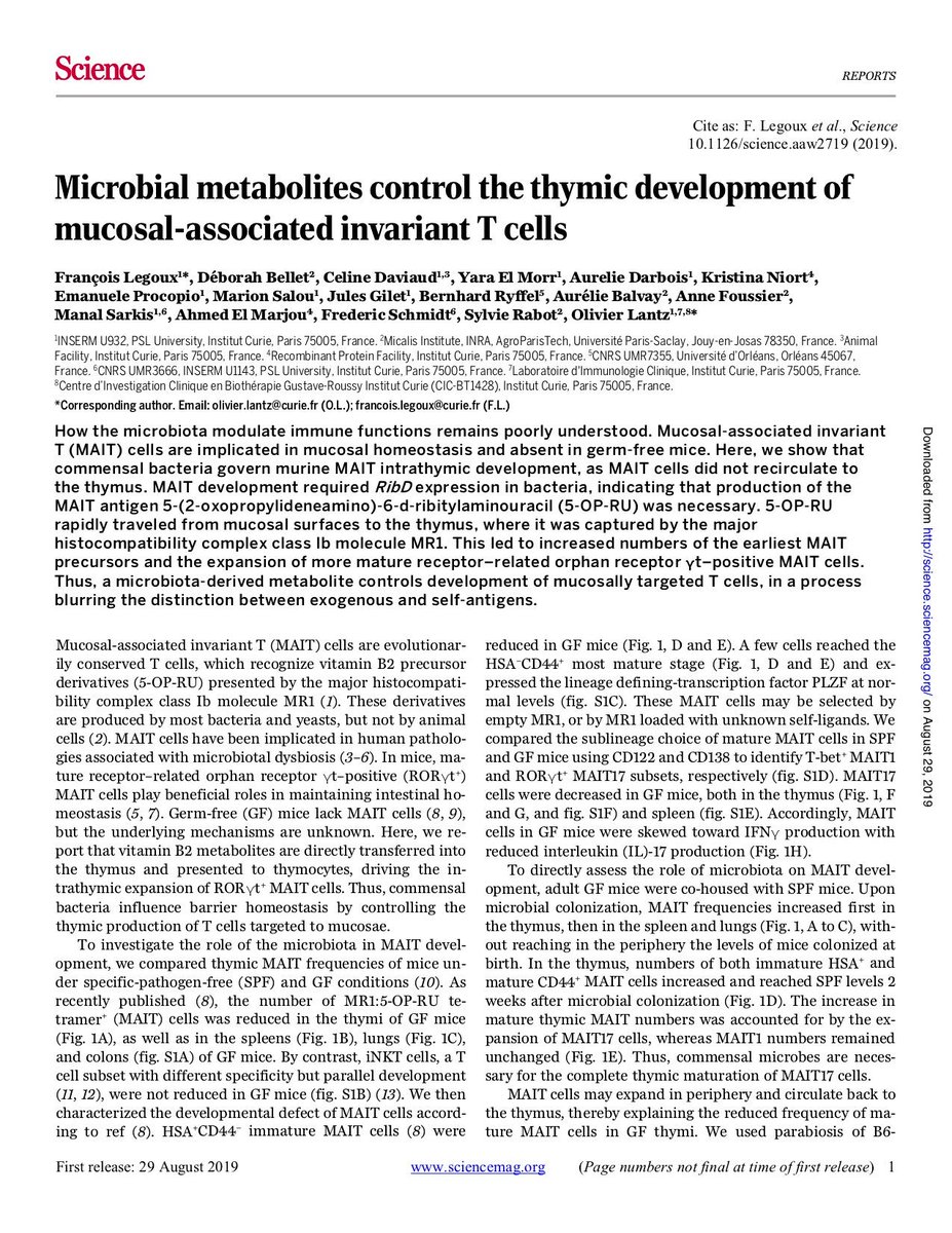 ImmunityCP's tweet photo. Online now @sciencemagazine from Olivier Lantz &amp; François Legoux &amp;co: Microbial metabolites are required for thymic MAIT cell development | Vitamin B2 metabolite 5-OP-RU crosses mucosal barriers &amp; gets to the thymus for presentation to MAIT cells https://t.co/xQIcBupatr https://t.co/hVqefRUcDN
