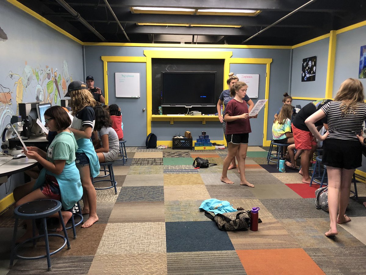AE_Mullen's tweet photo. Learning about plankton #fescatalina19 https://t.co/SgLMOUs5oj
