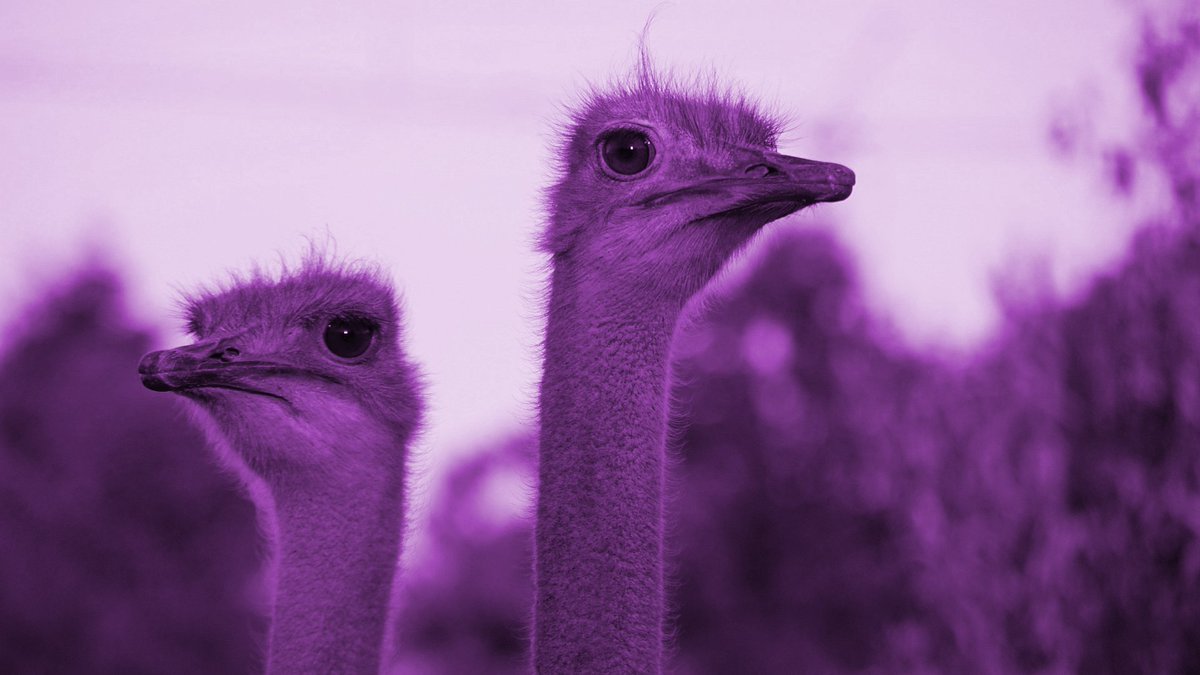 Tweet Tweet! Anyone out there? Tweet back!
#FirstTweet #Printers #GraphicDesign #purple #exhibitions #competitions #couponcode #SmallBiz #UKSmallBiz